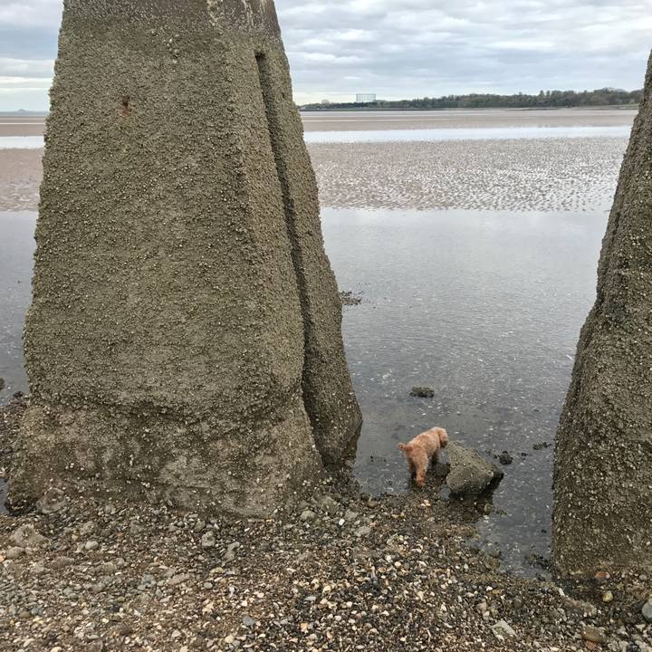 0b7f8889 df56 4a4f 81c6 db2c2f40e007