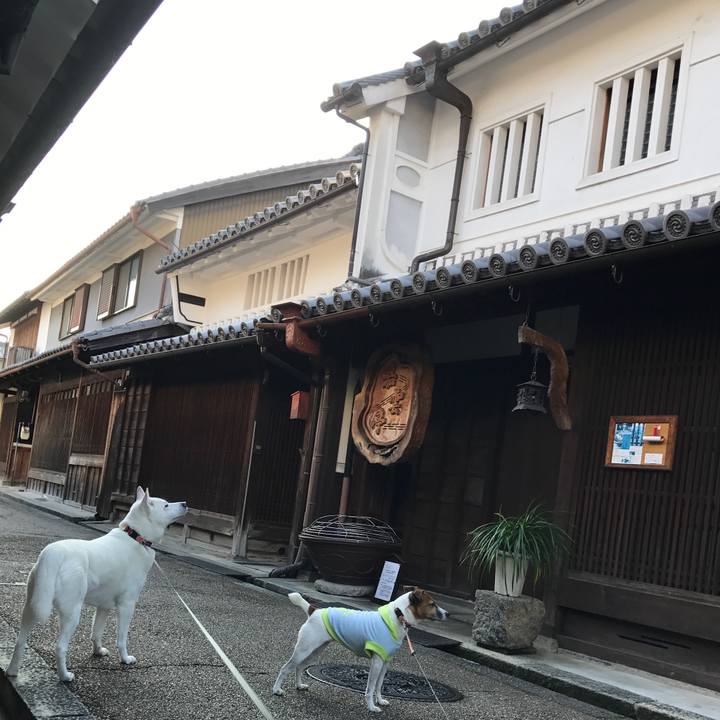 0b81993d 63b6 4efc 91cf f669924f58bc