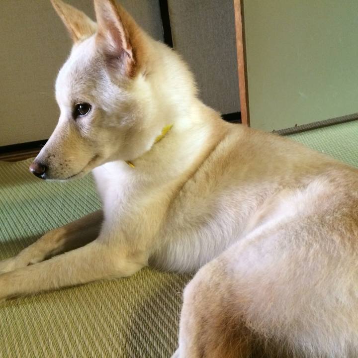 0b81b10c 67cd 4b68 b01f d2a4ecad6992