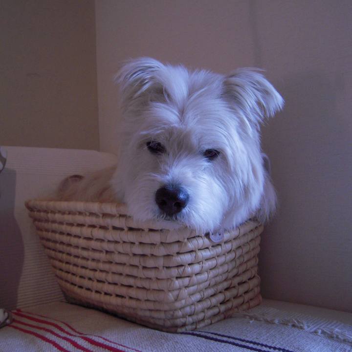 0b81d949 de25 4f57 b151 8255a831a4a3