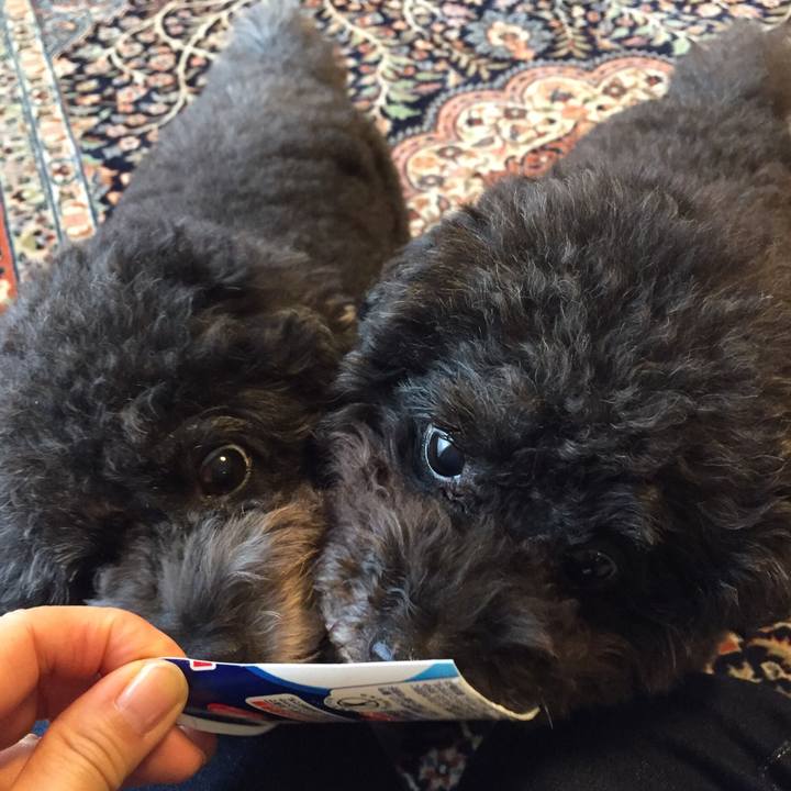 0b82be82 1c95 4c93 a627 7fc0e3b96d45