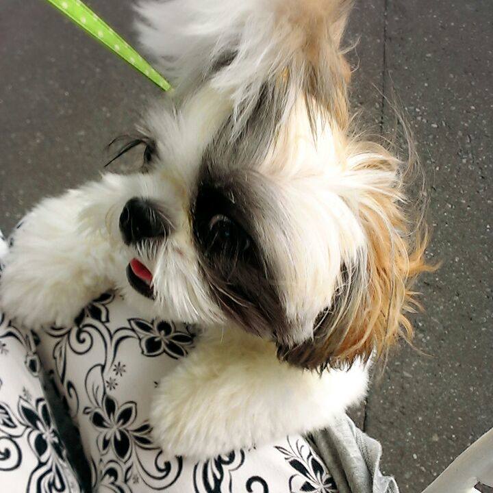 0b835cd1 f6f6 4158 a735 aaa66743ac31