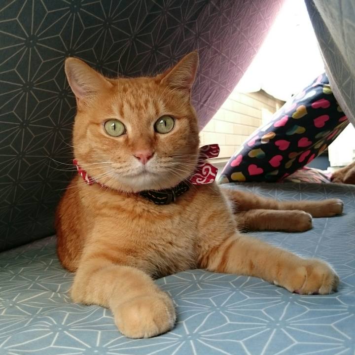 0b836461 e34b 4123 9a86 ff10ddde0a03