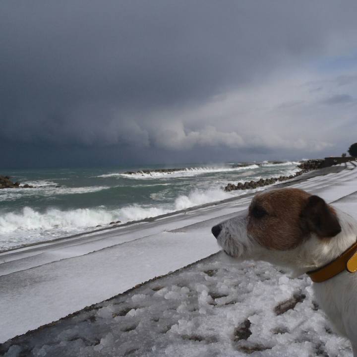 0b838272 c41e 402c 8f0a 727e009a9ebe