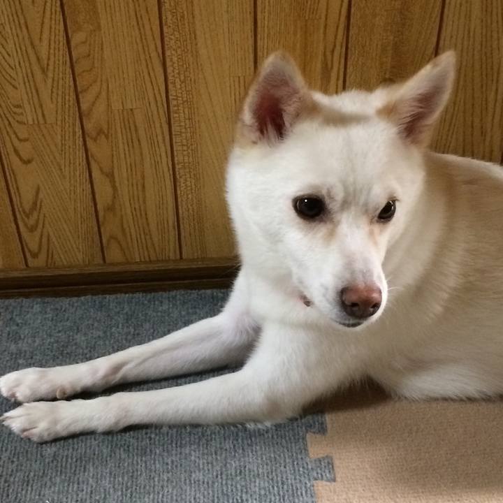 0b8388b8 b83e 4e13 b43a 9f28109a3e00