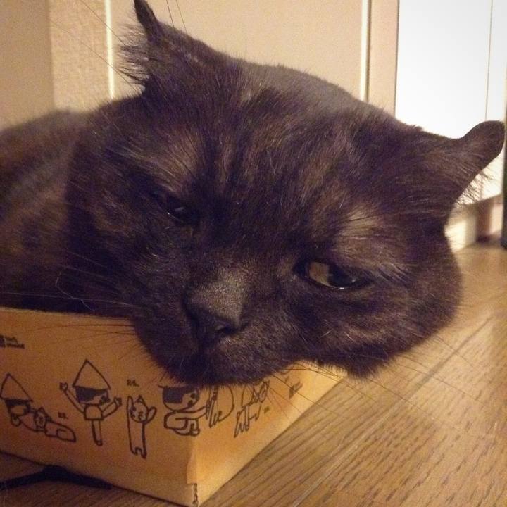 0b838e3e af45 46b1 aeb4 d16384483cbc