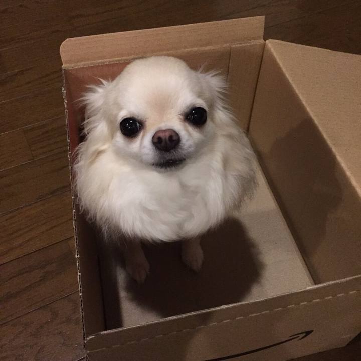 0b83e2f7 5235 4f62 b59e 9c57ee913bef