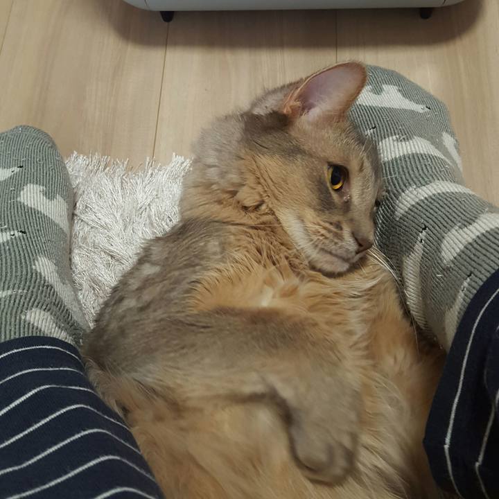 0b83e8ee 0a3b 40e1 8167 71d41ebe83e1