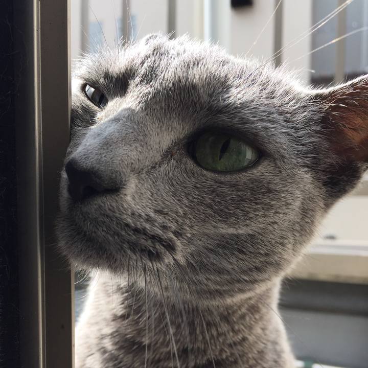 0b8475b4 437f 40bc 8f0a addfdafefdfc