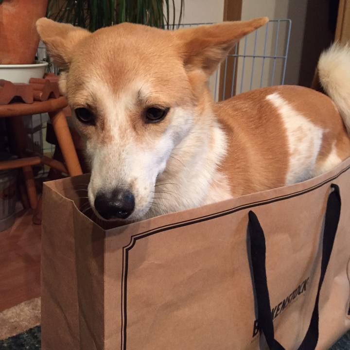 0b84c6f8 37bd 4d98 b477 1bd7b3d78a4c