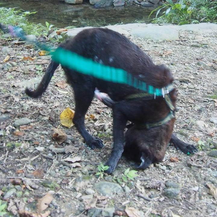 0b85efaa 3b68 4718 94c6 c6eb6bdf557c