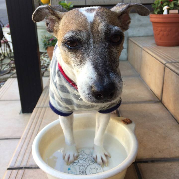 0b8766e8 8094 4114 a31d dd7e89c091f3