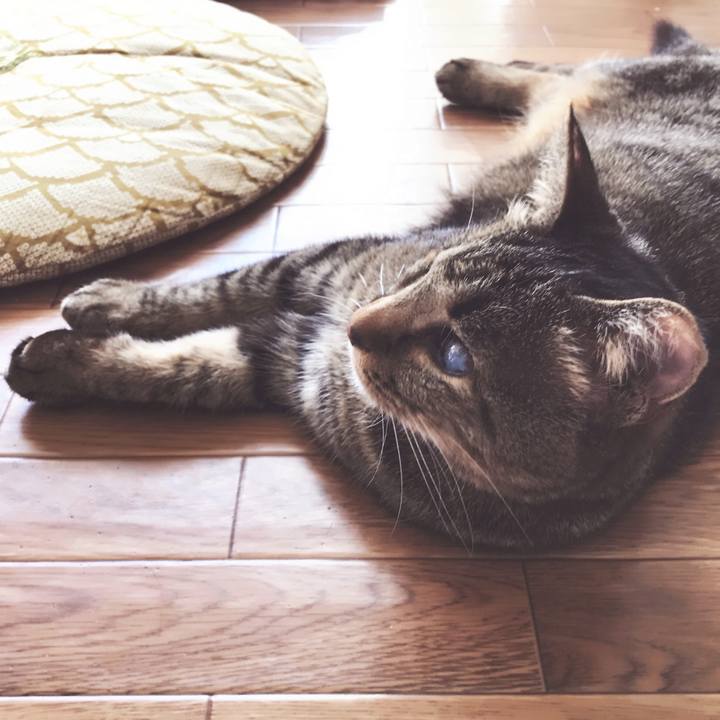 0b876fa9 6029 4549 9206 3038243dd6da