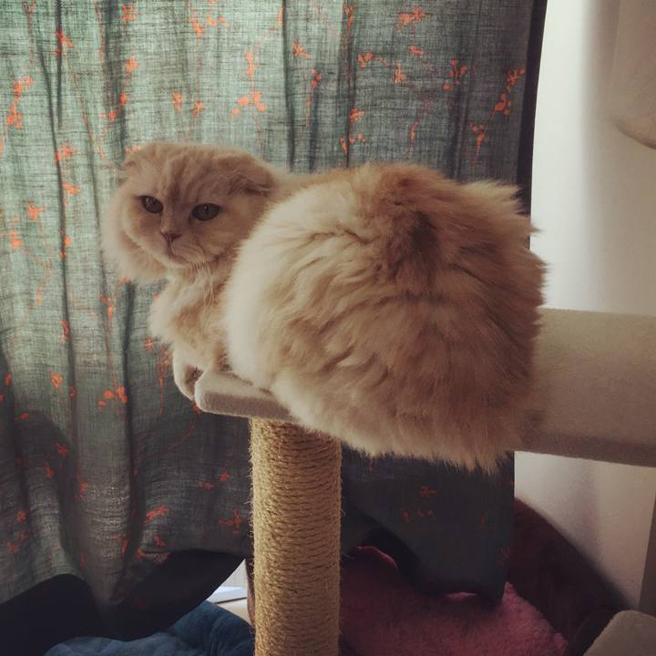 0b87f158 487a 4414 b8b7 ef0626c7eb9d