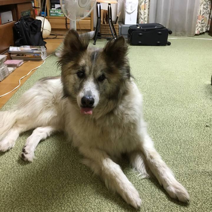 0b882a0e 75bc 4f74 afaf cf4f298e13db