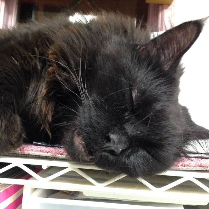 0b889c3f b548 40e5 8d37 7db8ac93e7df