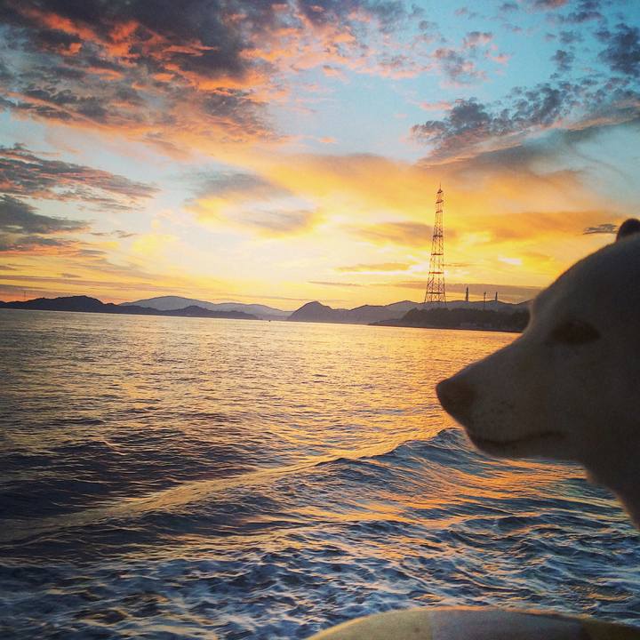 0b88e619 0144 4f57 aae8 6d1fb7f916e2