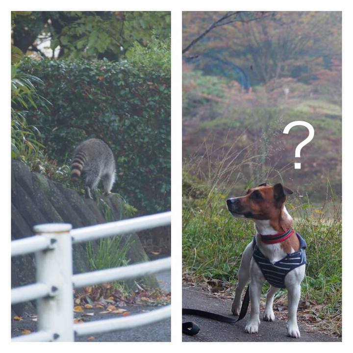 0b89b0e0 be97 4765 9a76 bb7e85fd16d4