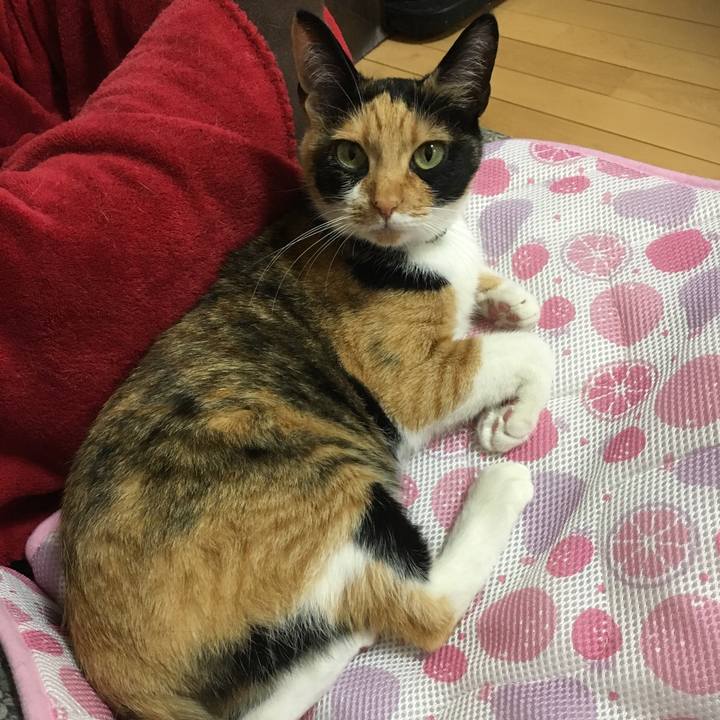 0b8a8d8b faab 4920 8d2e 28361f46694b