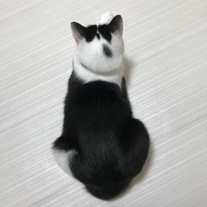 0b8a90d3 5daa 4a98 a690 e24de314d364