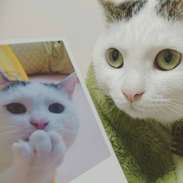 0b8abe09 122b 49ce bd43 51a9839eef50