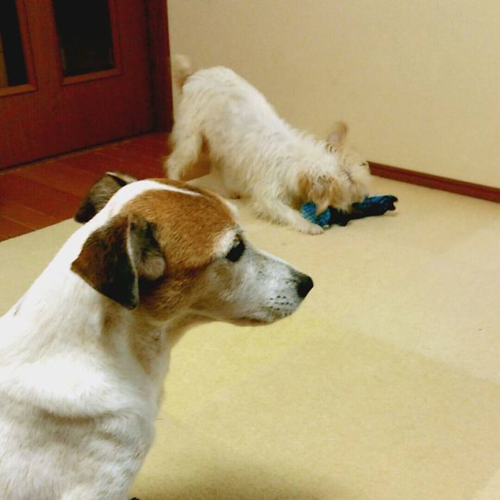 0b8b9c57 5163 4541 a0c5 72fd5a7d80c4