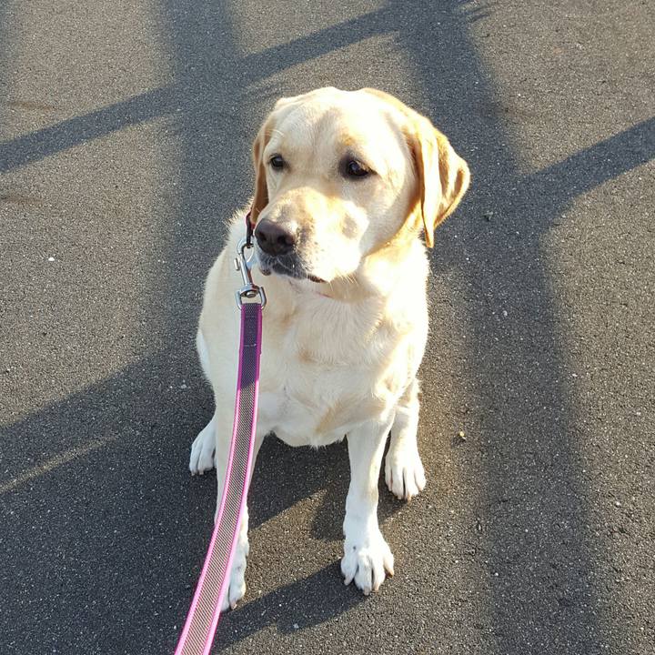 0b8bbfac f51f 4aad 810b 14debdd22c71