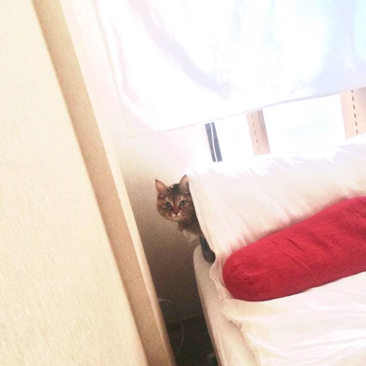 0b8c6498 db5d 47df a1f5 a50625f47624