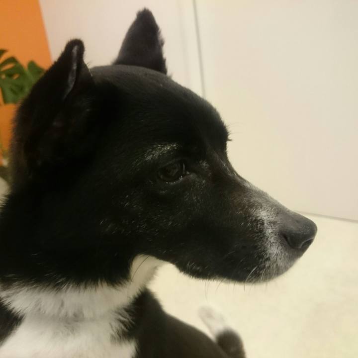 0b8c8973 72d0 403e b653 902c22df1622