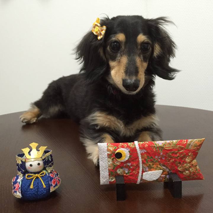 0b8cc07e 4fd2 4254 abf3 00c750642210