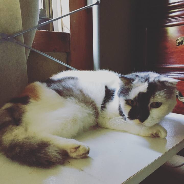 0b8ce589 8fac 4b42 80a8 ea4ab016bdf8