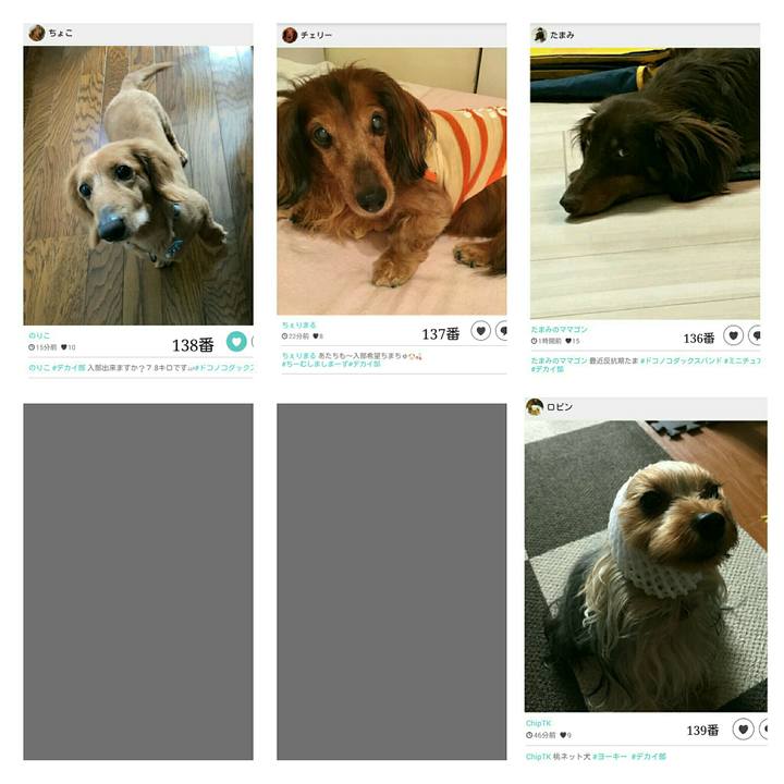 0b8d5900 fa26 4a1c 935f bb12dfa73e8c