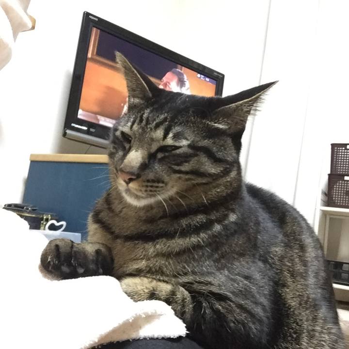 0b8e010d f59e 4c11 aaec 3646501788b2