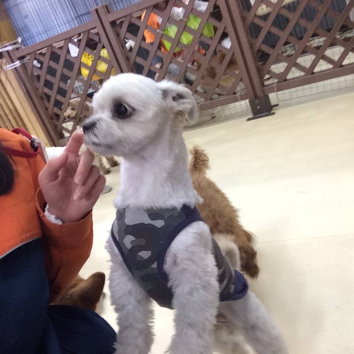 0b8e3543 648c 426c 975e b55b19110865