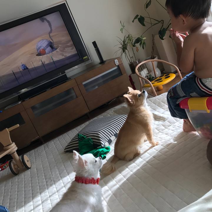 0b8f2834 ee68 4809 a188 334f4b9d3399