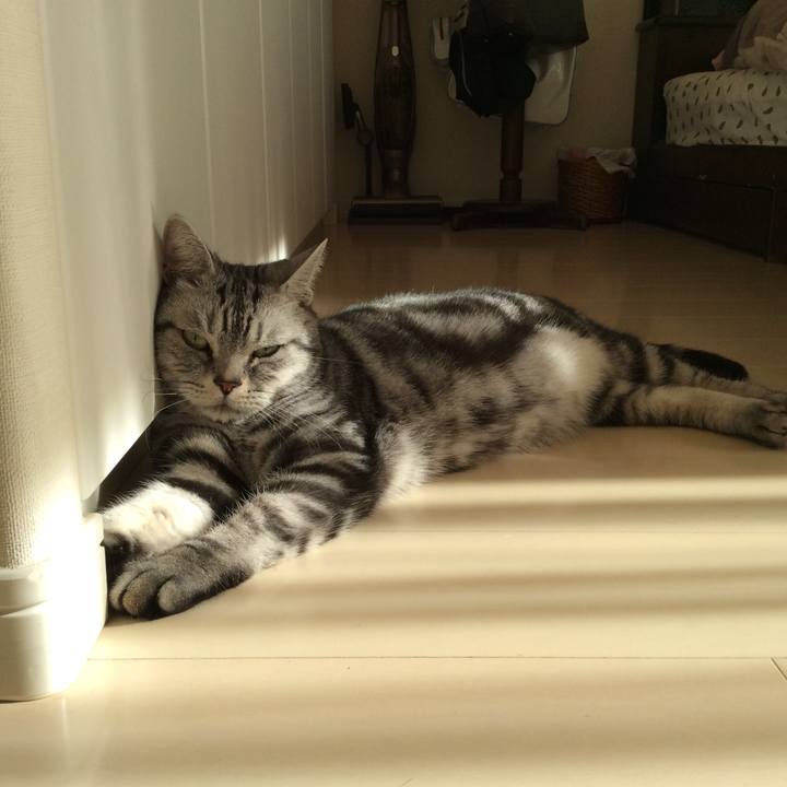 0b8f8fe5 ff2c 4cca 91e2 13d3e19a139e