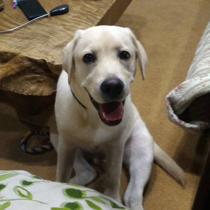 0b9092c5 ad61 40ac 8c51 130e57911d2d