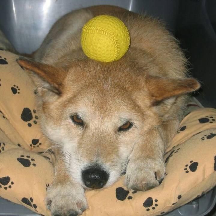 0b90bb7b 2994 4556 b7d8 563723e5b963