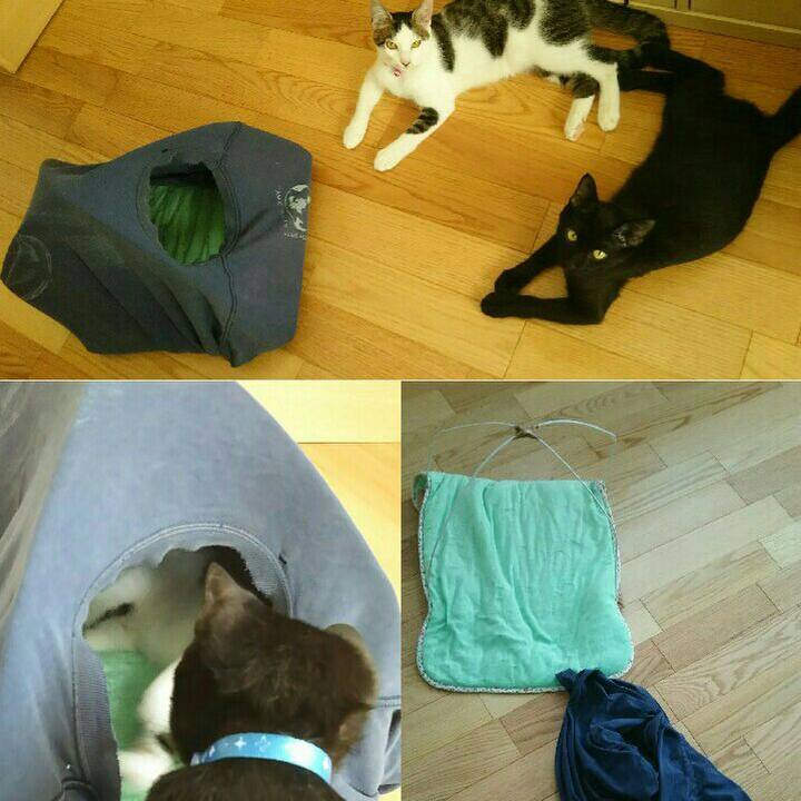 0b90f3bb ff74 45d4 b70b 985caf6e1f79