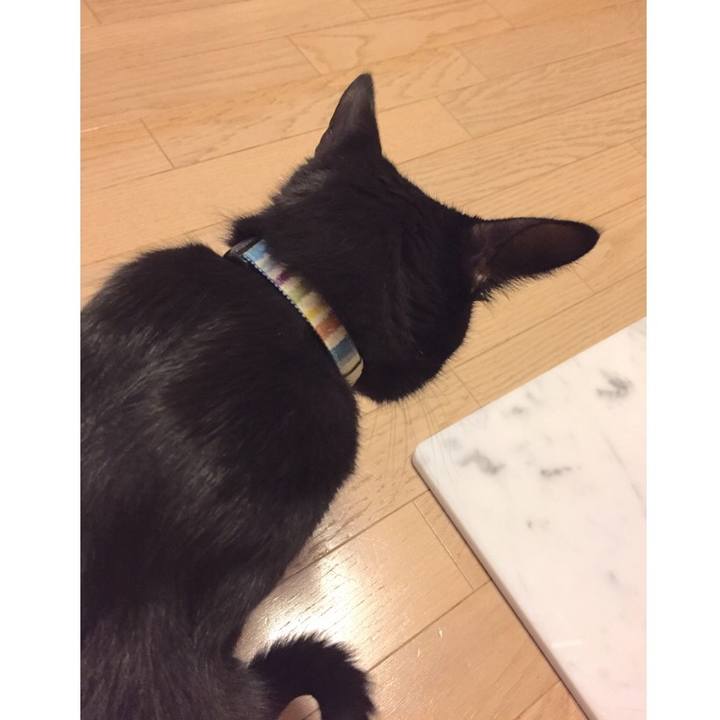 0b911cef 0b8b 48ae a099 00a9135904cb