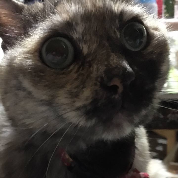 0b91648c da26 43fd 8505 8ef3ac932094