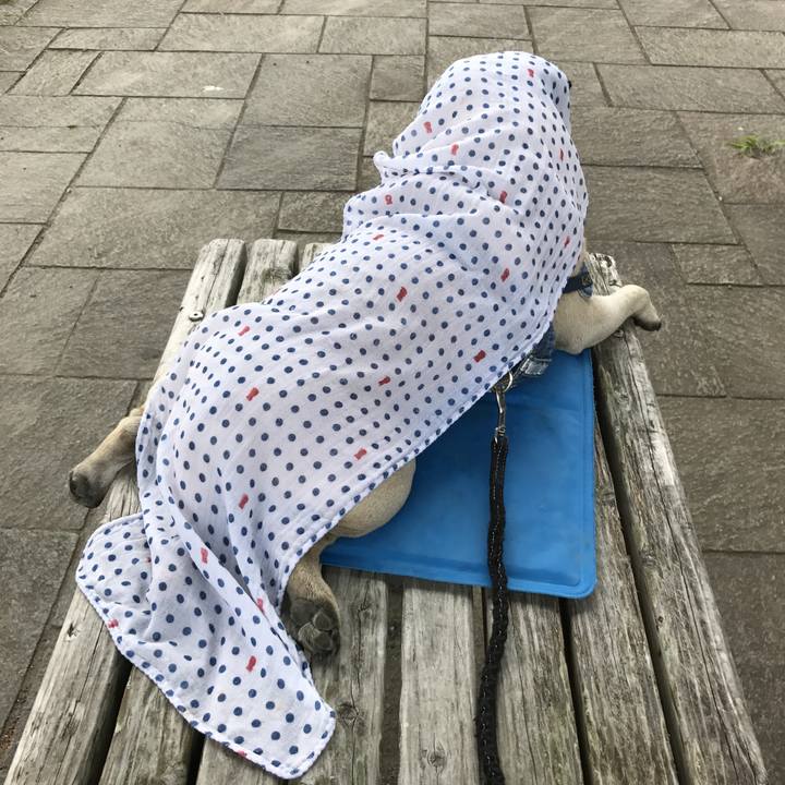 0b91fe67 b468 45b3 abee bf3129456c35