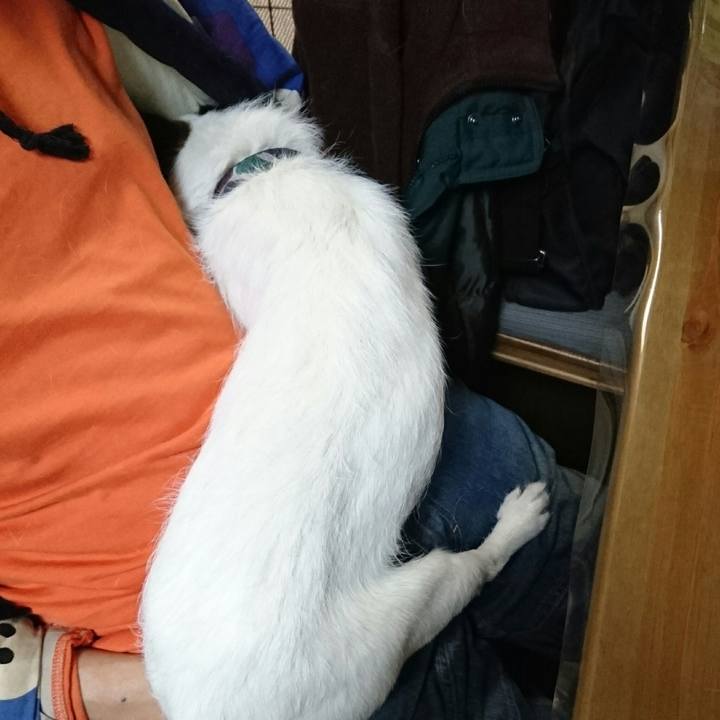 0b920a23 fd4c 421c a774 a176a7ef9163