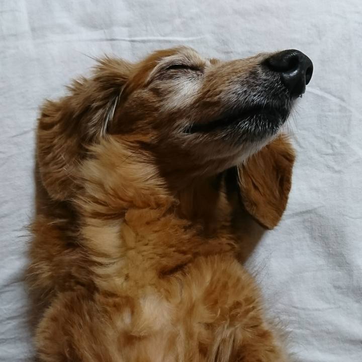 0b93316d 3bb4 4d3f 890f 775d4a56dd40