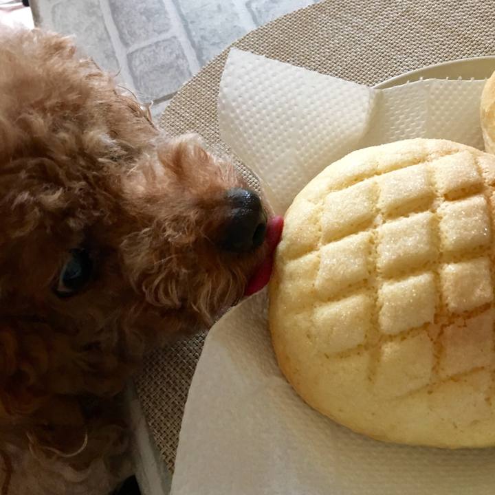 0b93cc59 d3d1 46aa bf14 98dd21088203