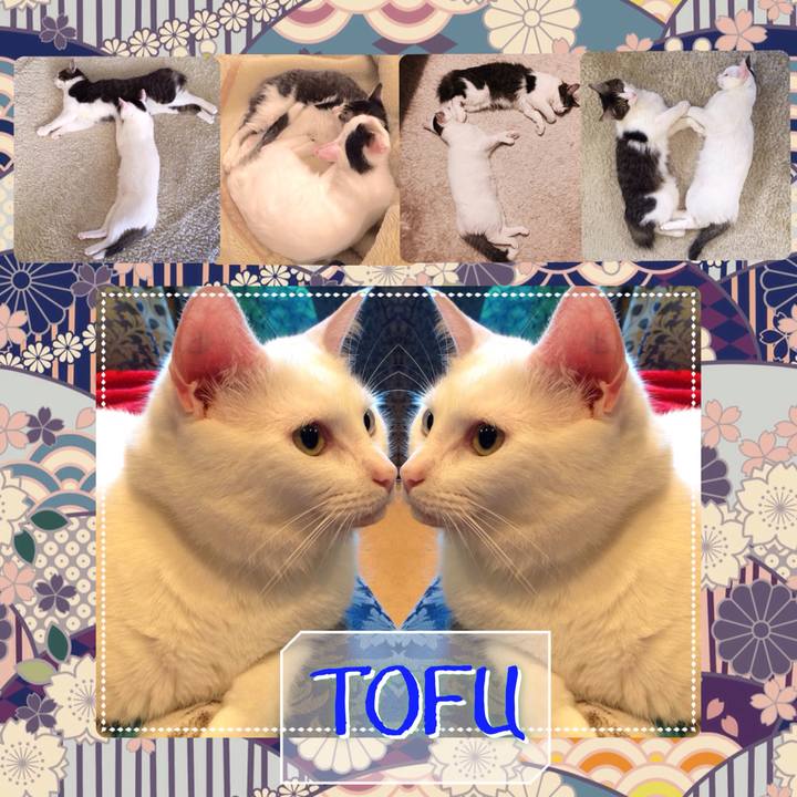 0b93ce27 8e82 474a 8ed6 fc195f4bd73c