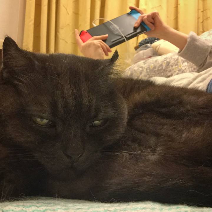 0b93d976 65e5 42dc 9f4c 170f15a53c5d