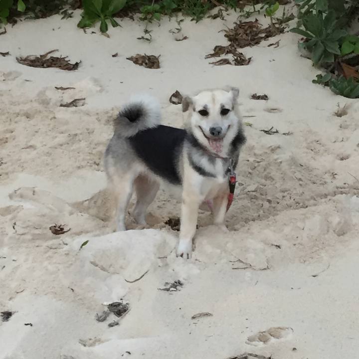 0b94281c 6909 4a63 a307 1d4727599c16