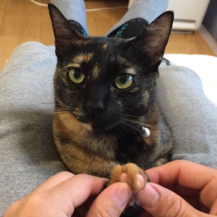 0b94ce5f 722a 4da6 b822 bb525a9cff61