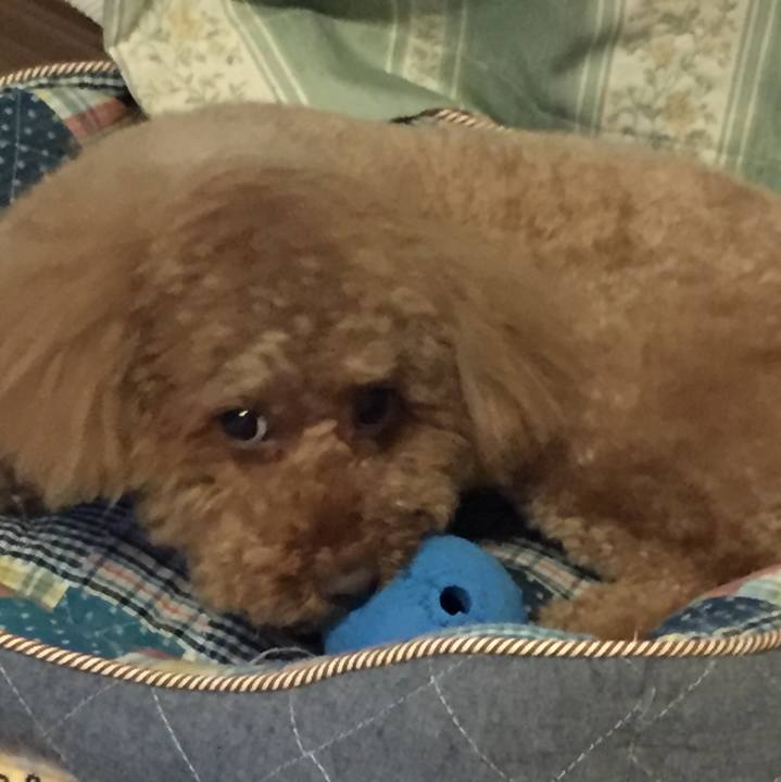 0b94e495 5ec4 40b7 b279 d577ec8b3547